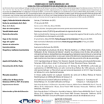 Alimentos FM Aviso de Prensa PPCC Emisión 2021 XV hasta 2021 XXV Serie II Miniatura